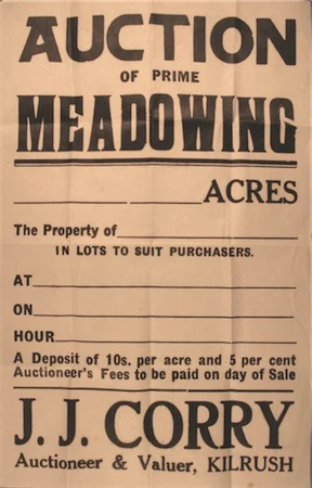 Auction.jpg