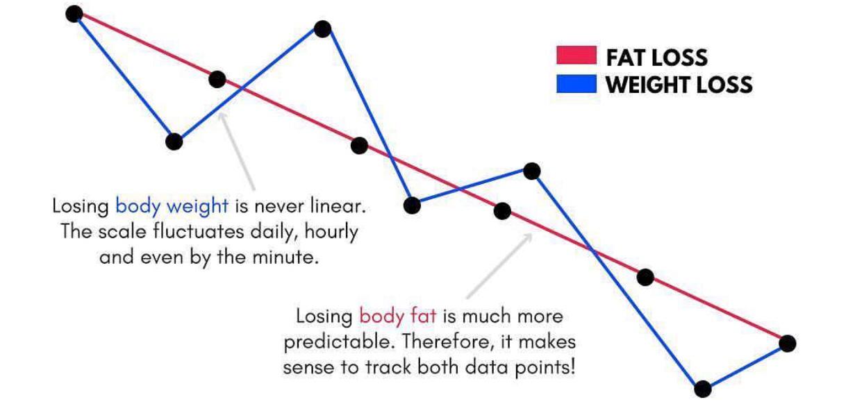 fatlossgraph.jpeg