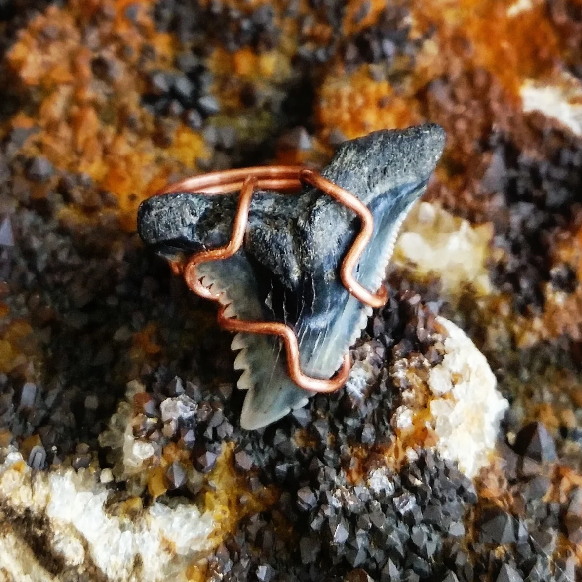 Shark tooth and Copper Ring