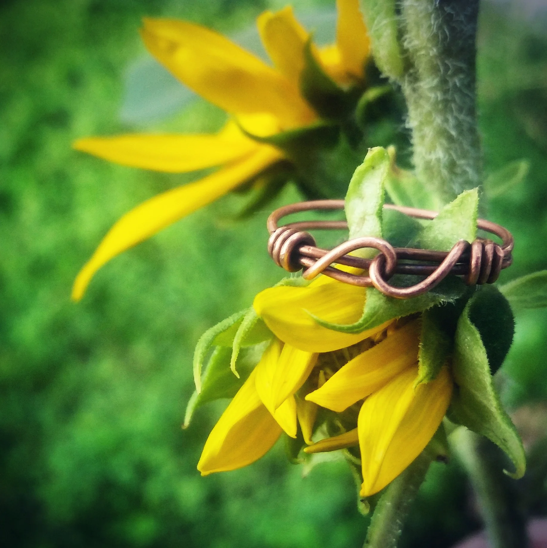 Copper Linked Ring