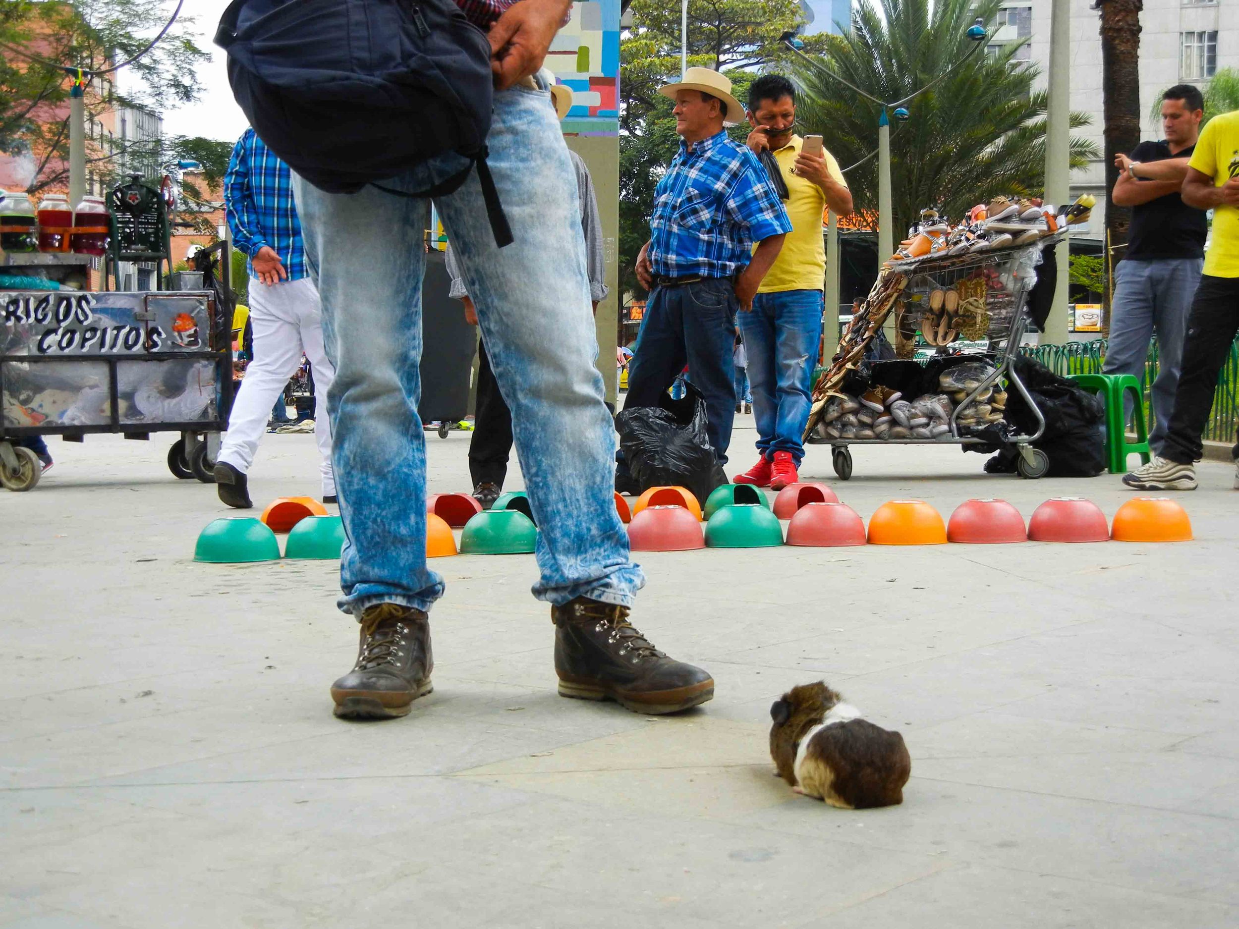 2015_10_Medellin-39.jpg