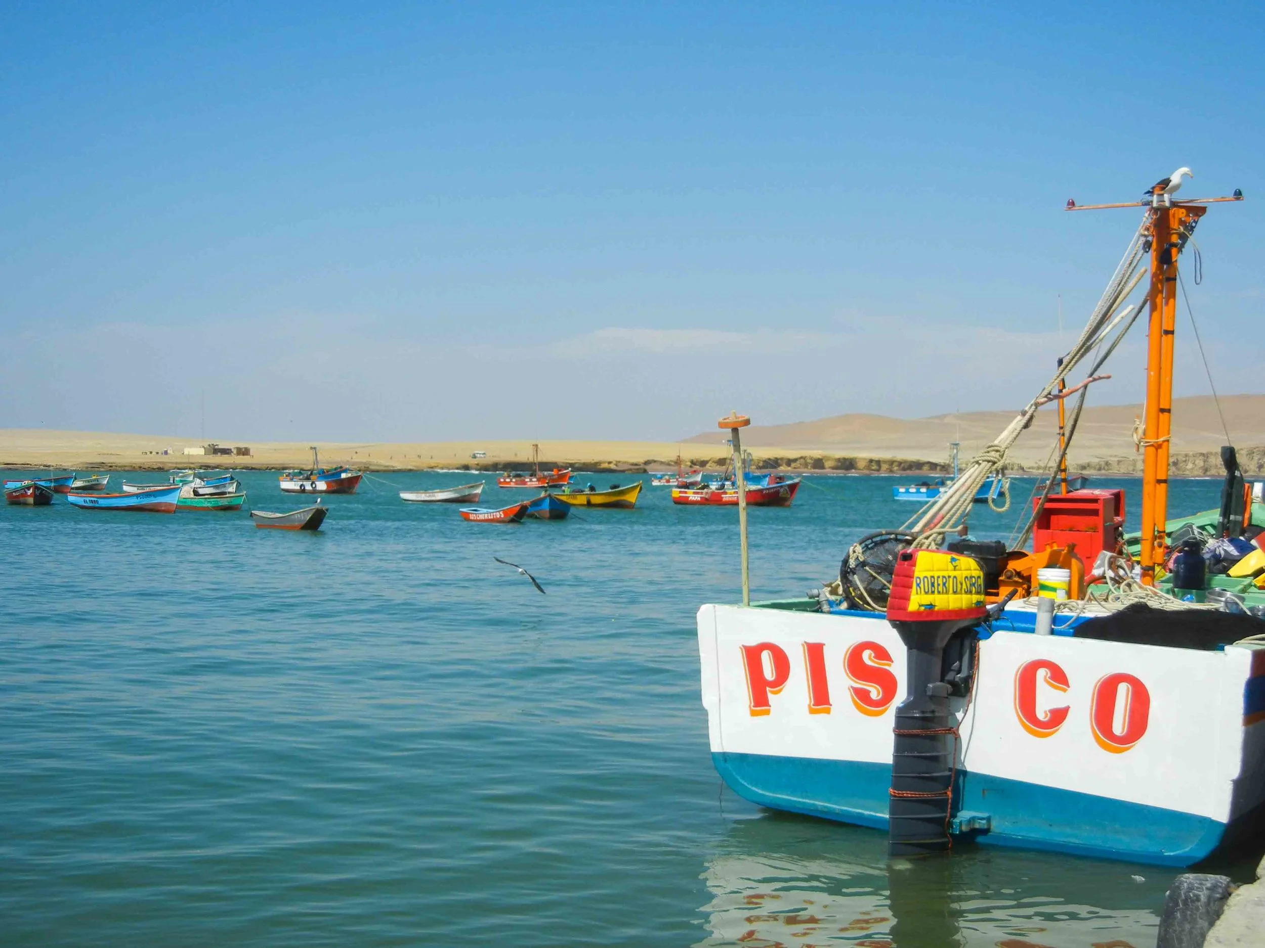 2015_11_S_LimaParacasHuacachina-33.jpg