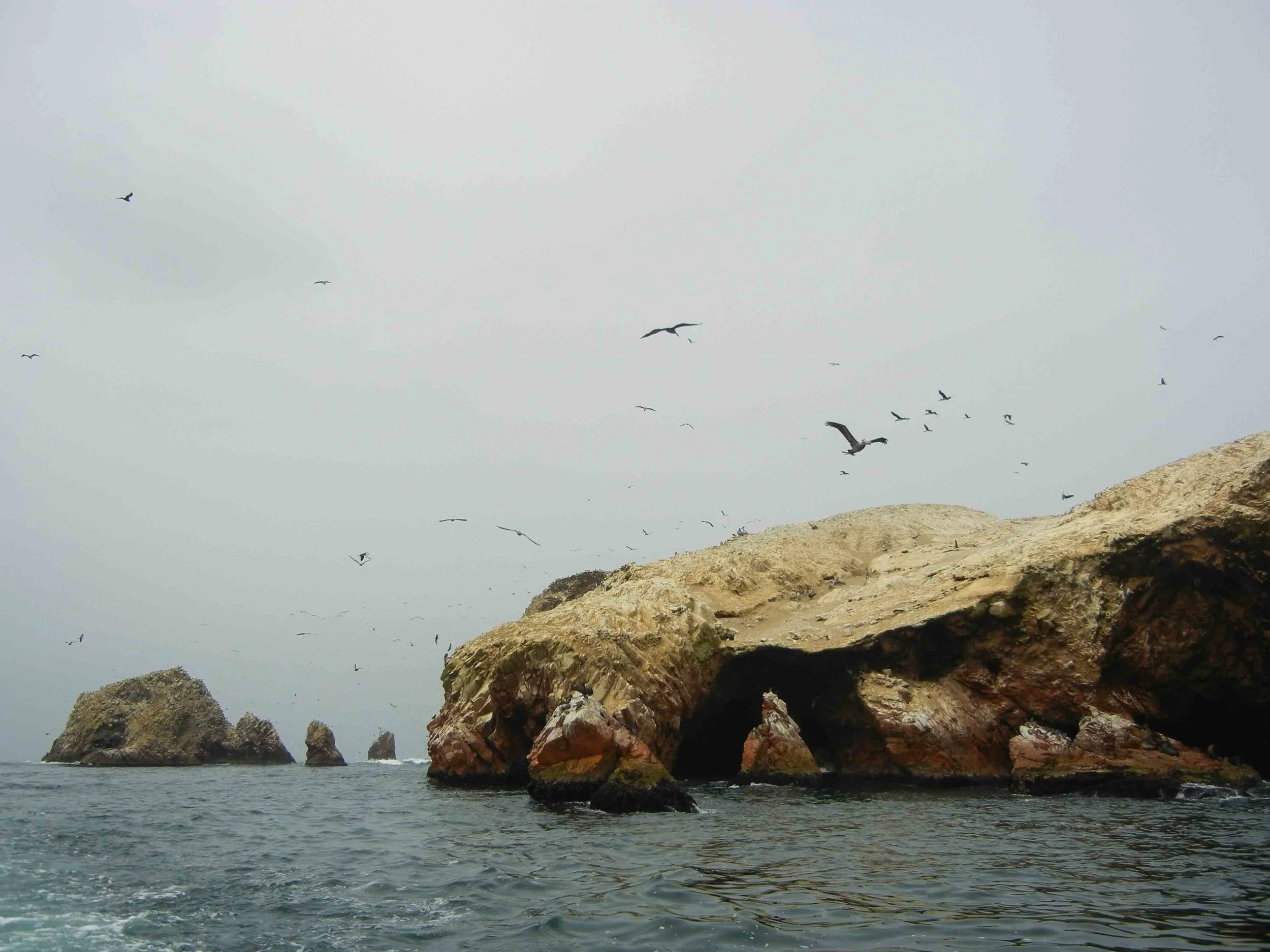 2015_11_S_LimaParacasHuacachina-49.jpg
