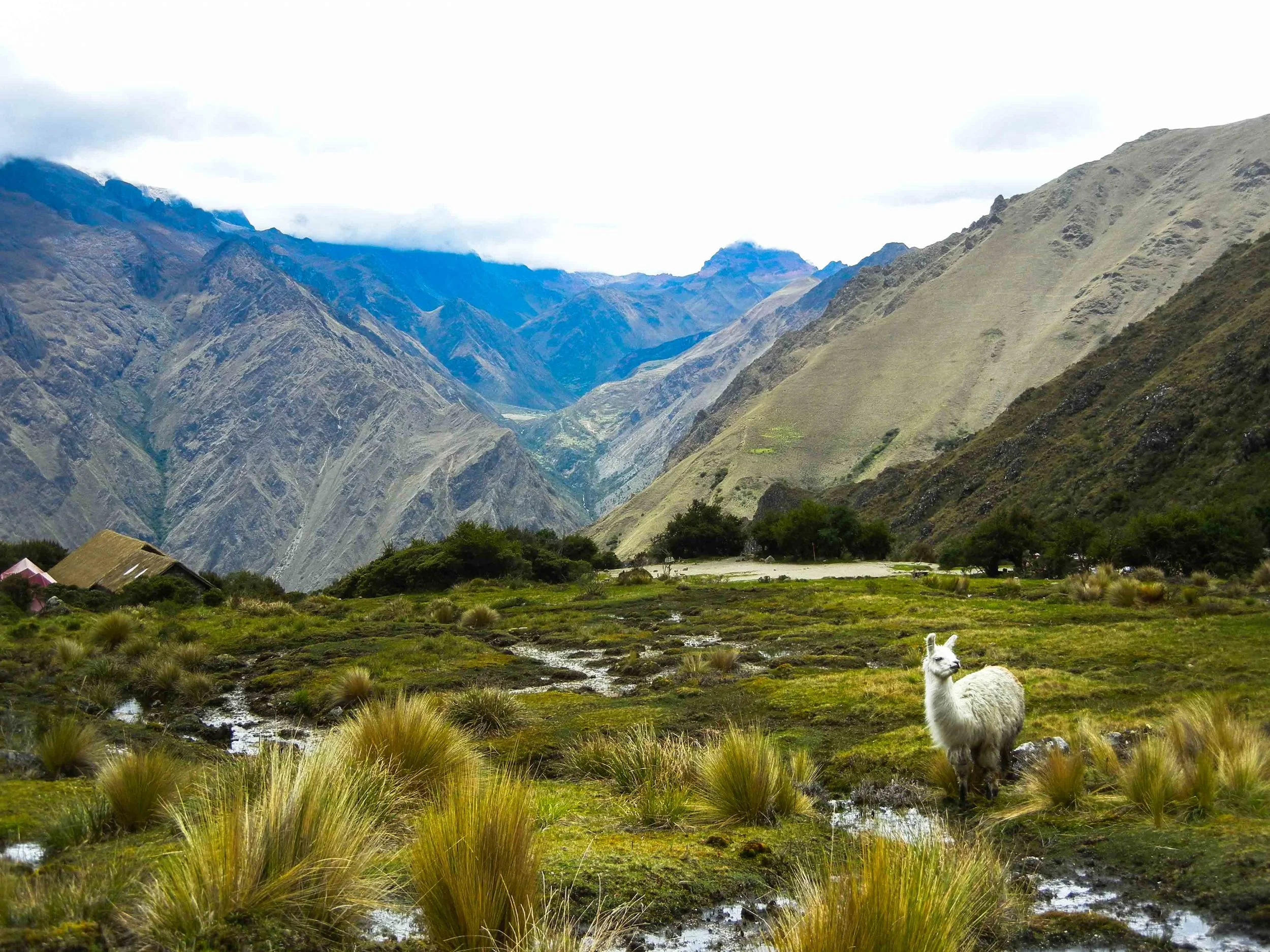 2015_11_S_Cusco-10.jpg