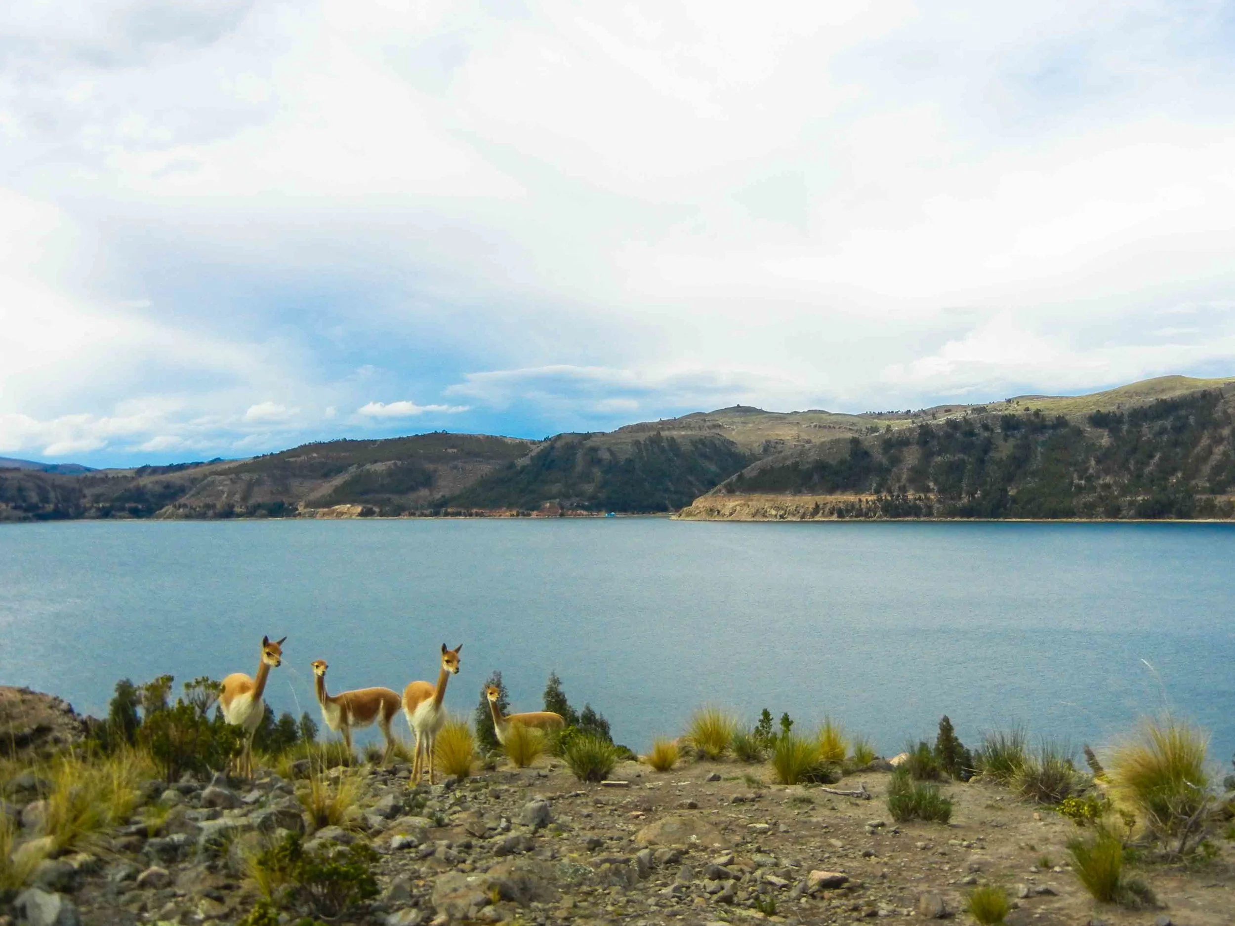 2015_12_S_PunoCopacobana-7.jpg
