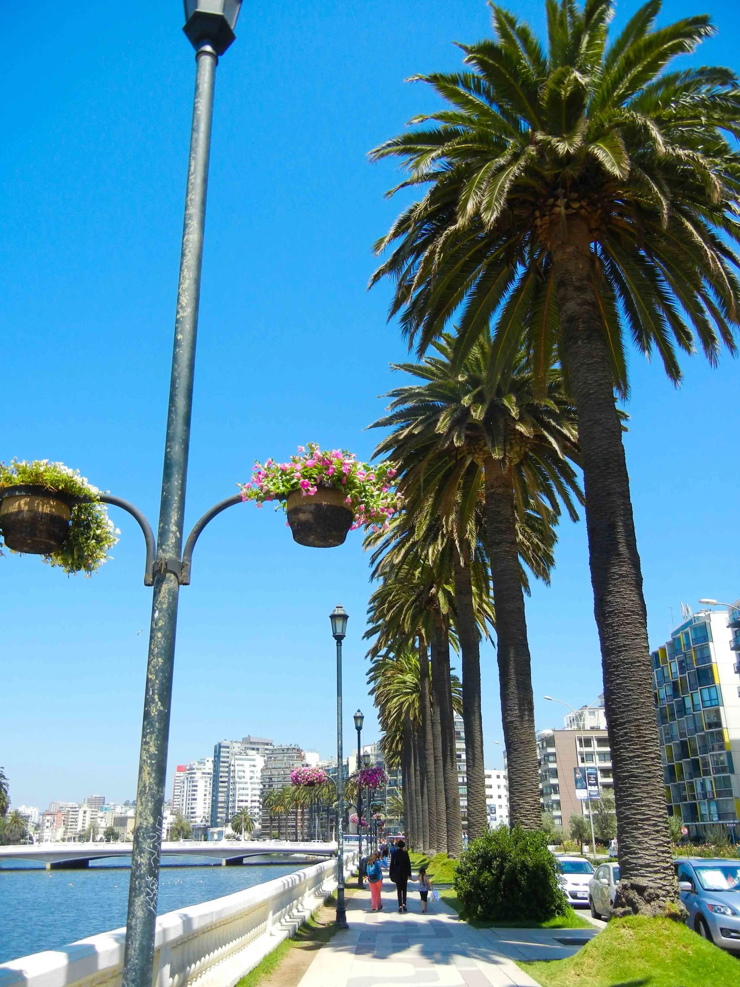 2016_1_S_NorthernChileSanPedroSantiagoValparaiso-16.jpg