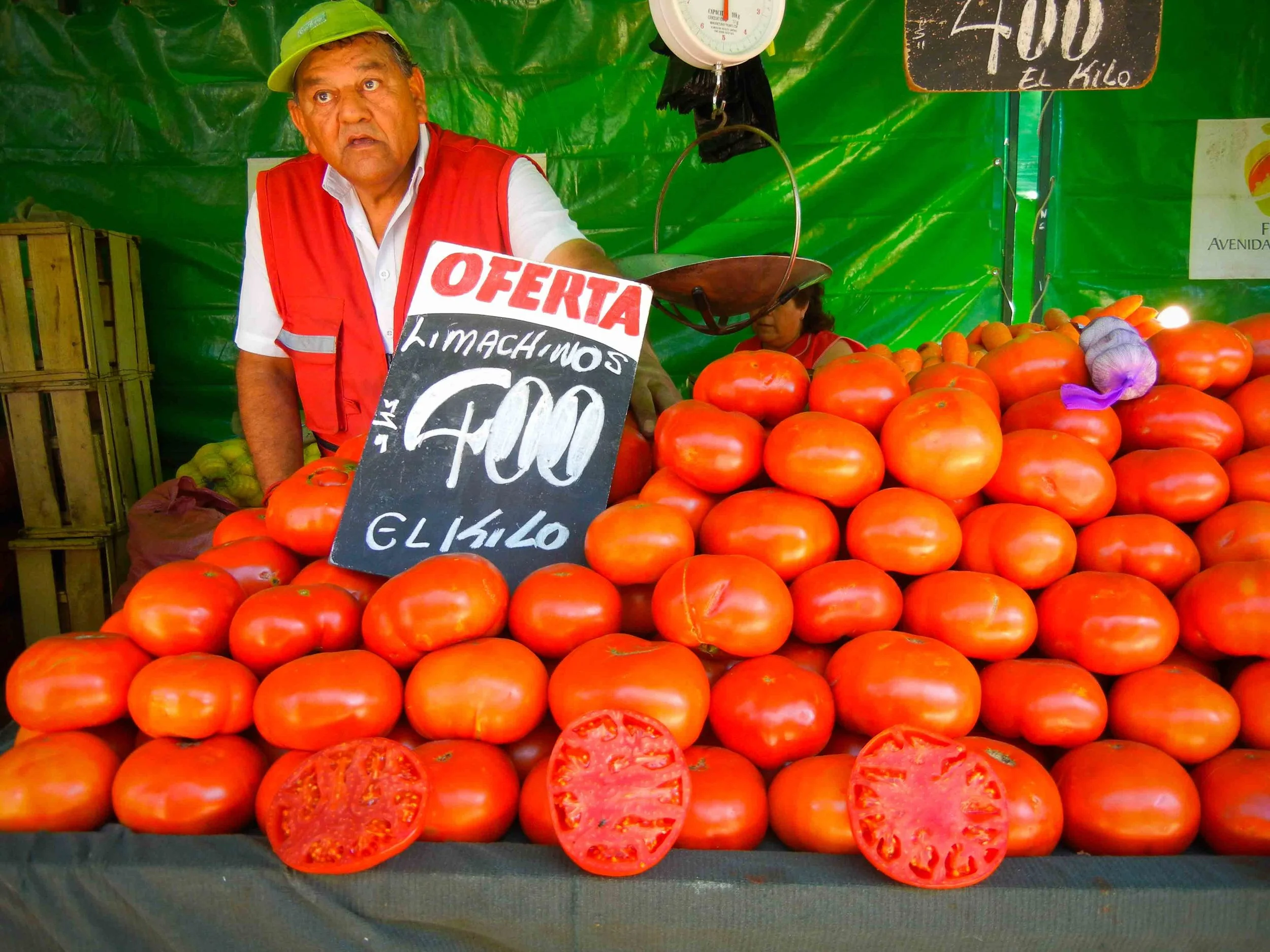 2016_1_S_NorthernChileSanPedroSantiagoValparaiso-39.jpg