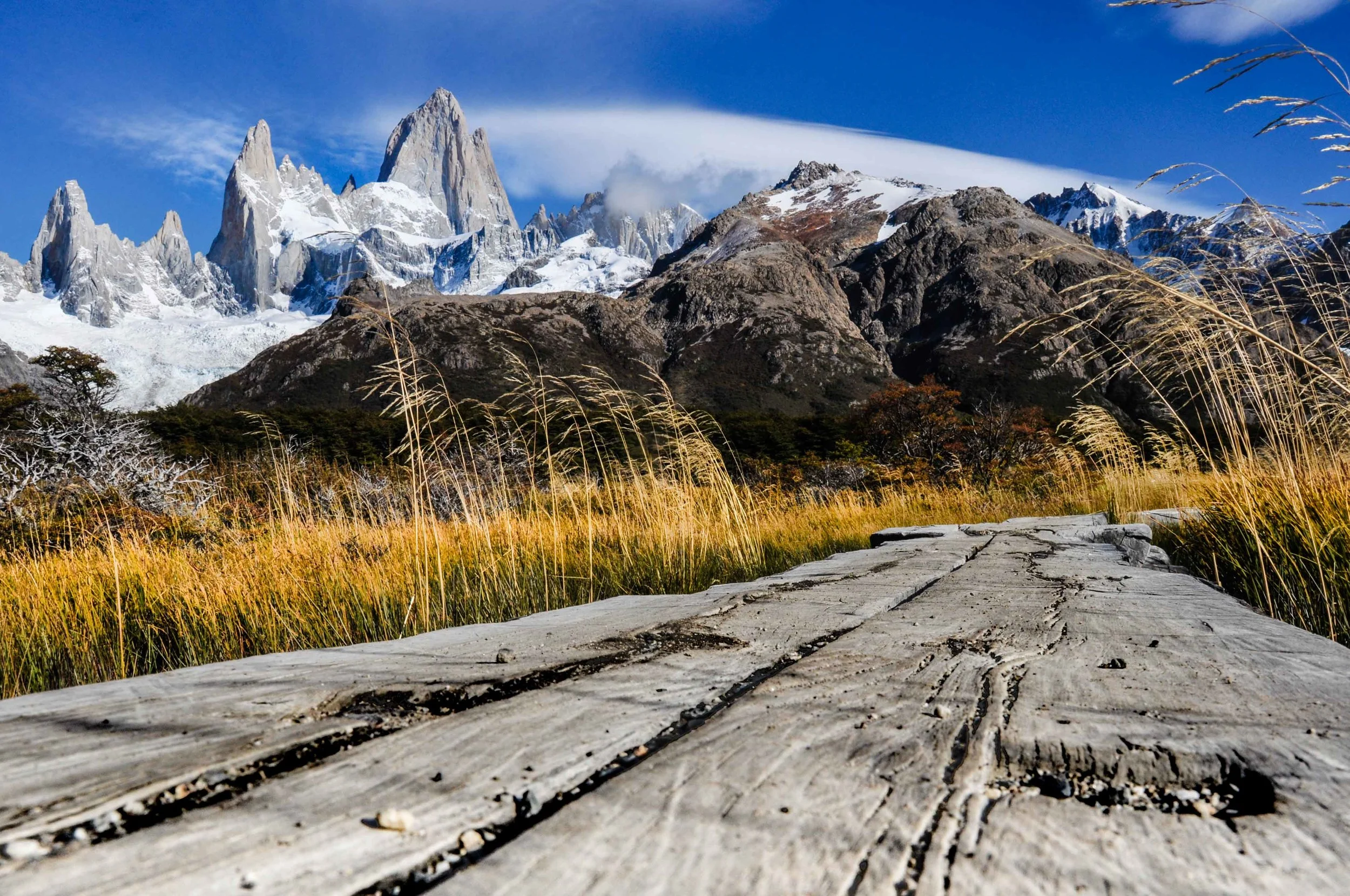 adelineheymannpatagonia-2.jpg