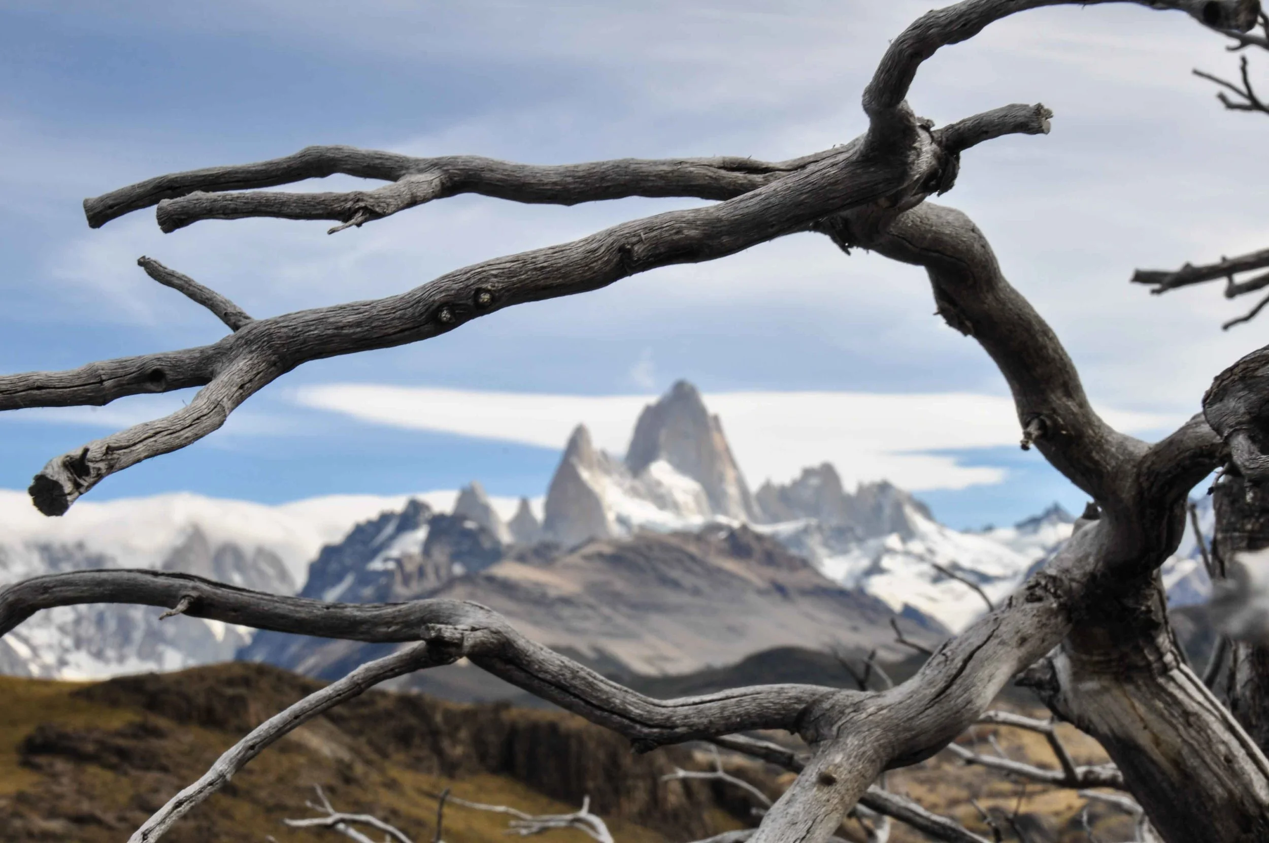 adelineheymannpatagonia-55.jpg