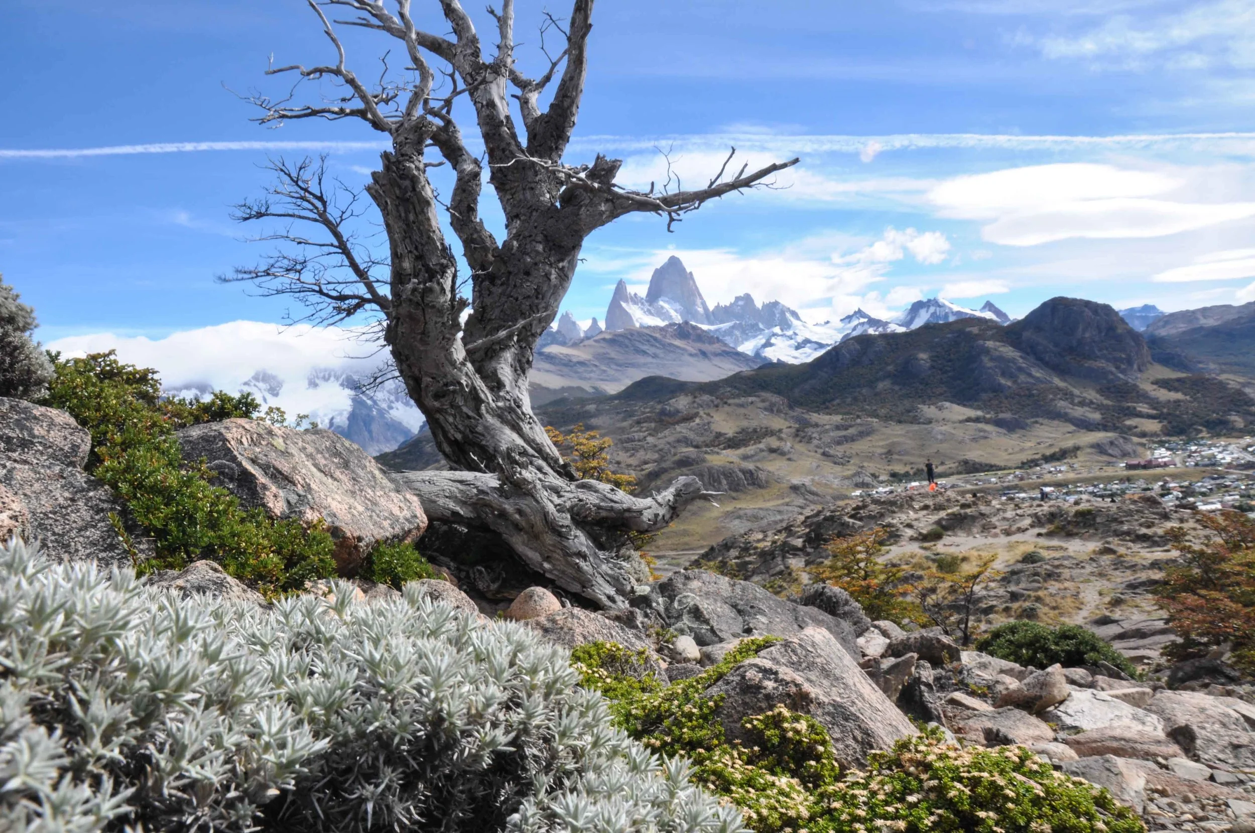 adelineheymannpatagonia-58.jpg