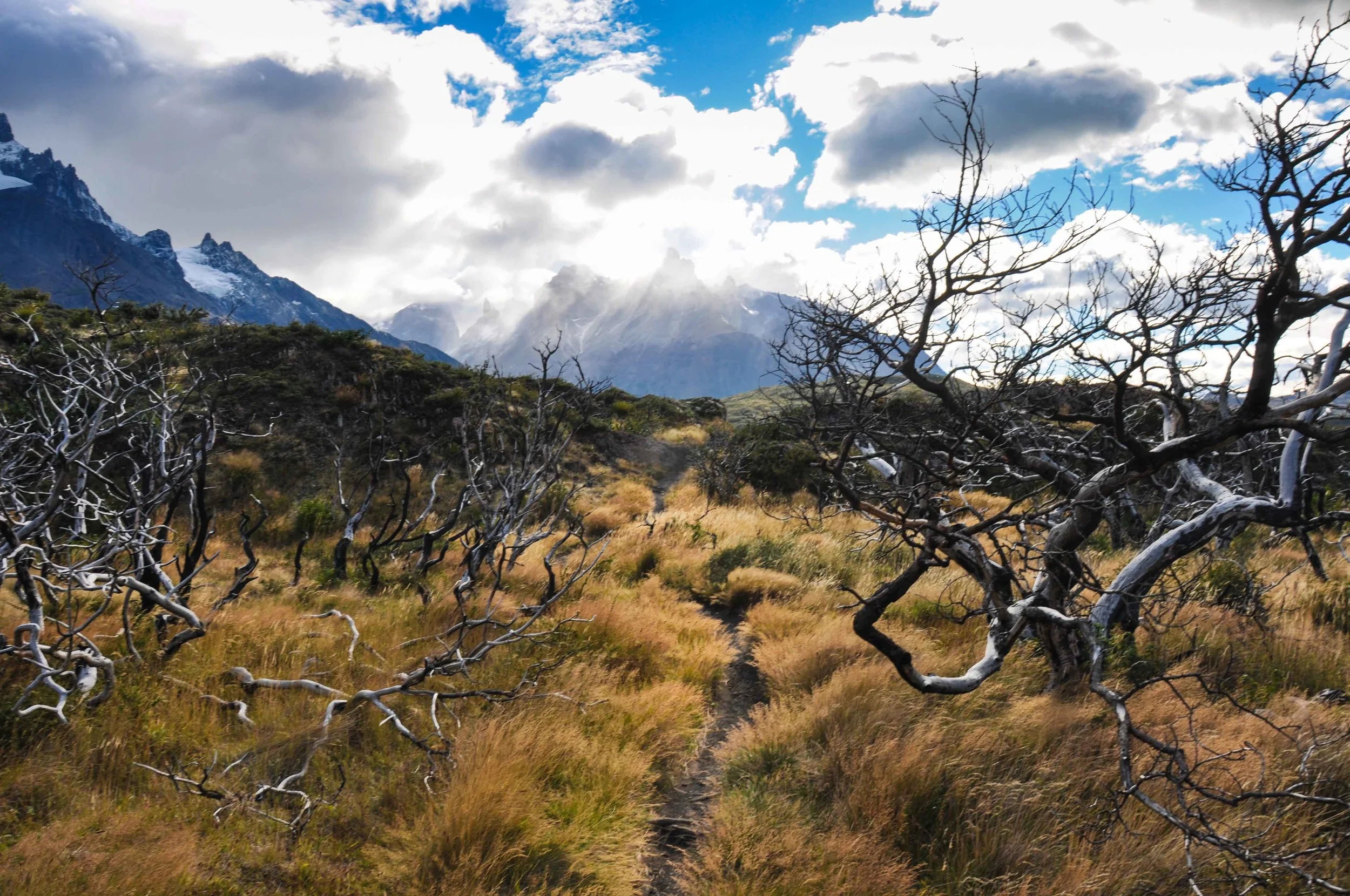 adelineheymannpatagonia-81.jpg