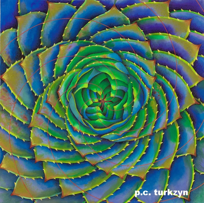 PC Turczyn_Infinity Health_Sacred Geometry.jpg