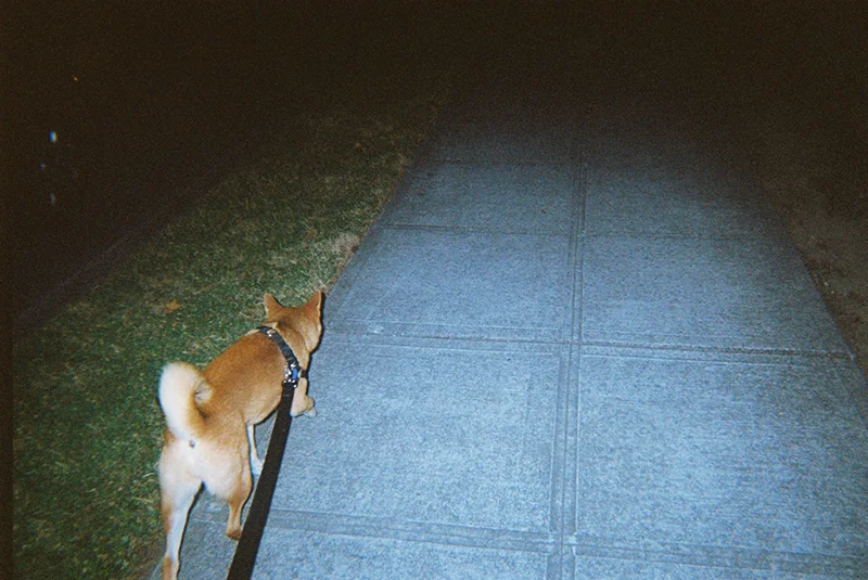 06_lucia_via_film.jpg
