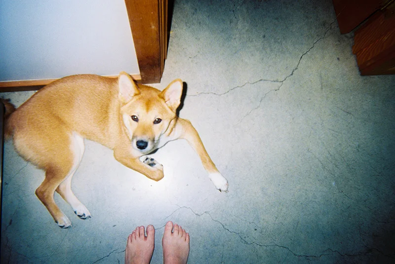 10_lucia_via_film.jpg
