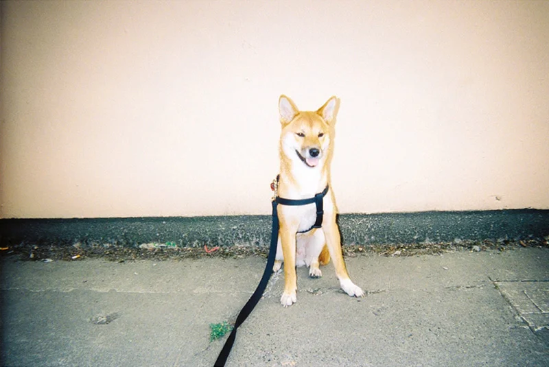 12_lucia_via_film.jpg