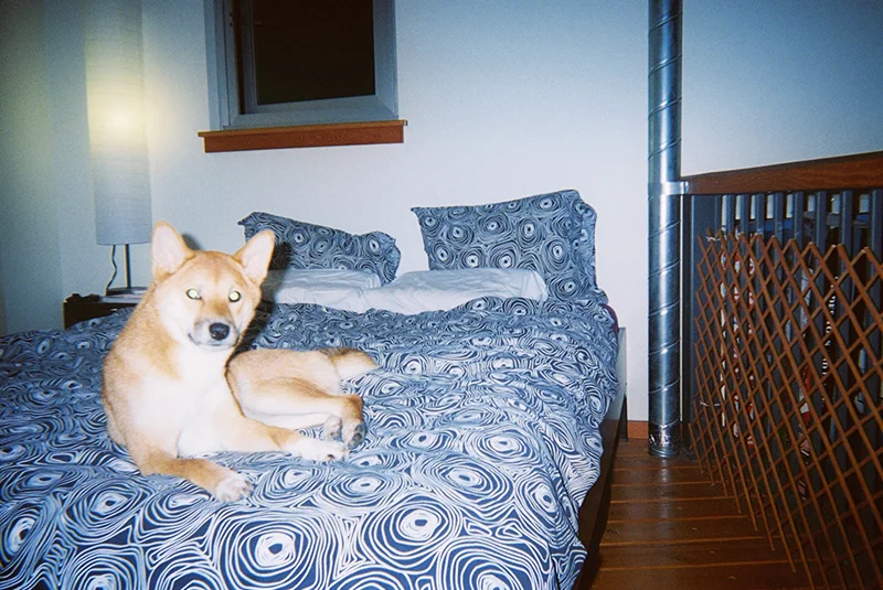 14_lucia_via_film.jpg