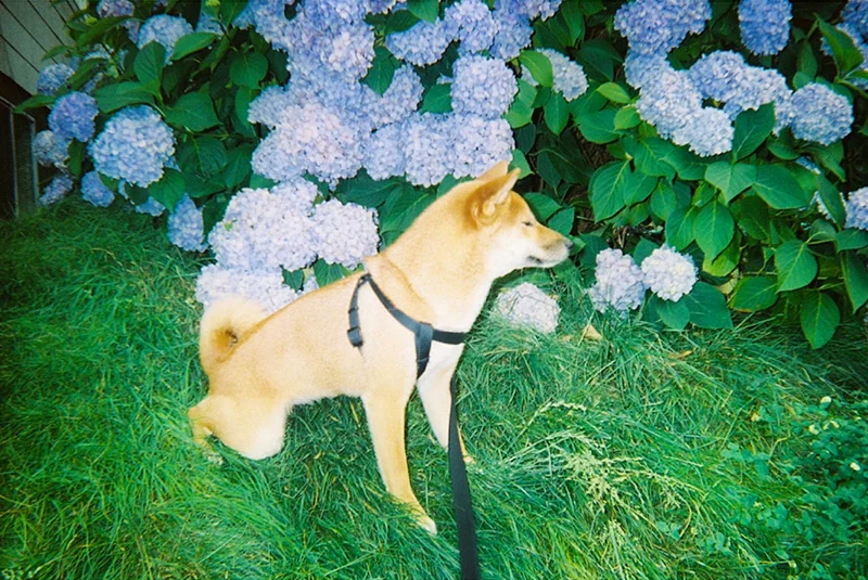 13_lucia_via_film.jpg
