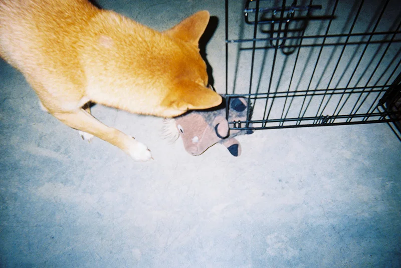 16_lucia_via_film.jpg