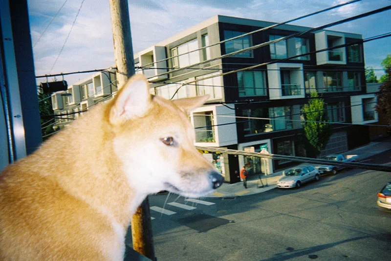22_lucia_via_film.jpg