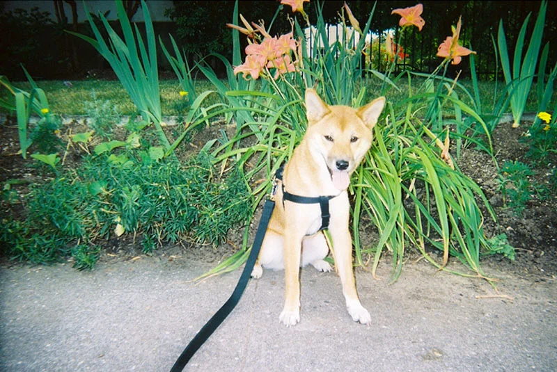 21_lucia_via_film.jpg