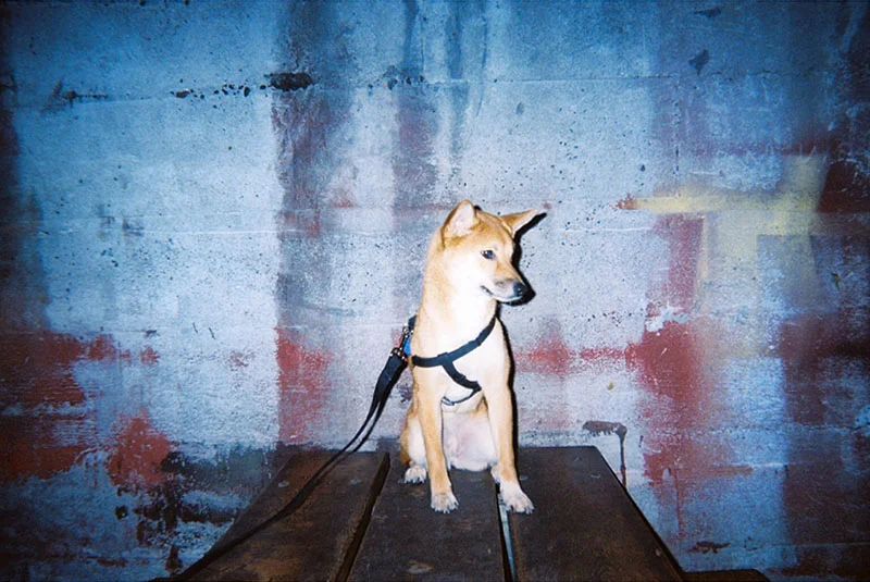 24_lucia_via_film.jpg