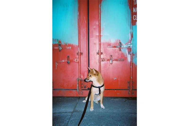 25_lucia_via_film.jpg