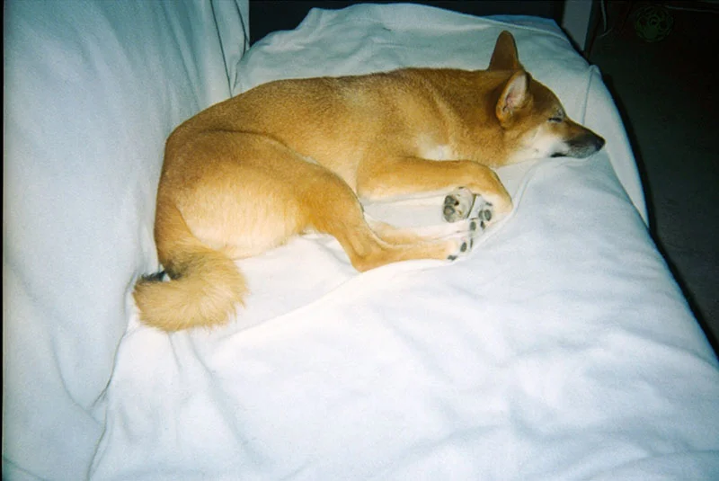 27_lucia_via_film.jpg
