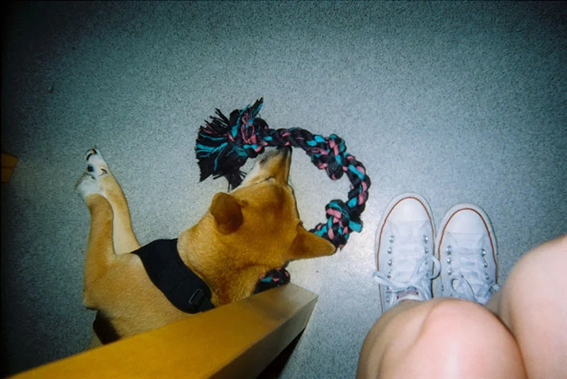 31_lucia_via_film.jpg
