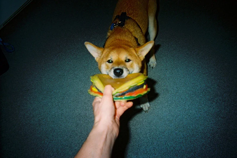 30_lucia_via_film.jpg