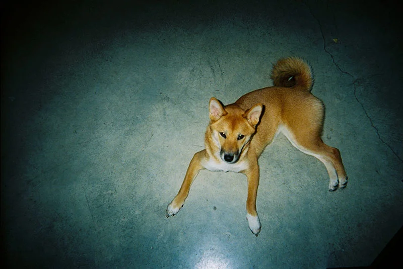 32_lucia_via_film.jpg