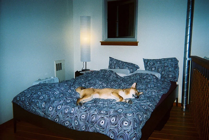 35_lucia_via_film.jpg