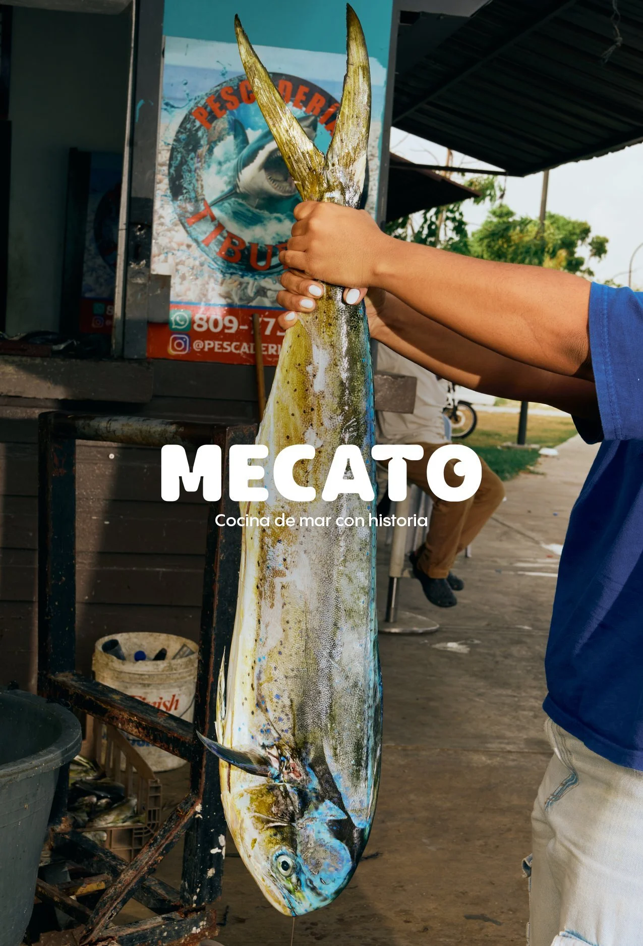 portada-1-mecato-pecao.jpg