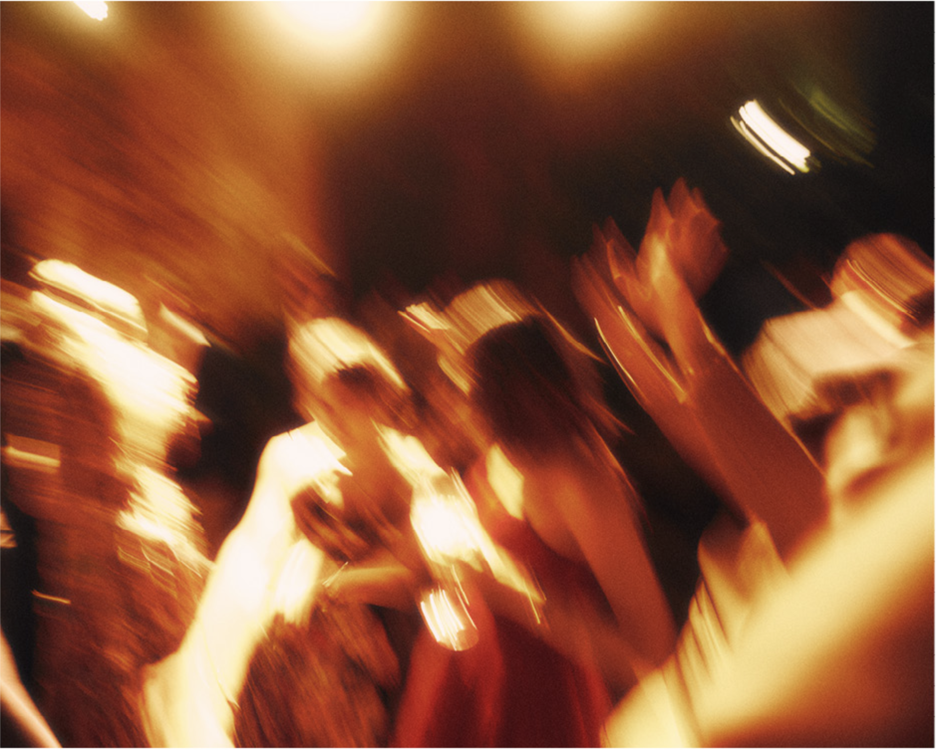 Screenshot 2026-02-19 at 4.53.43 PM.png