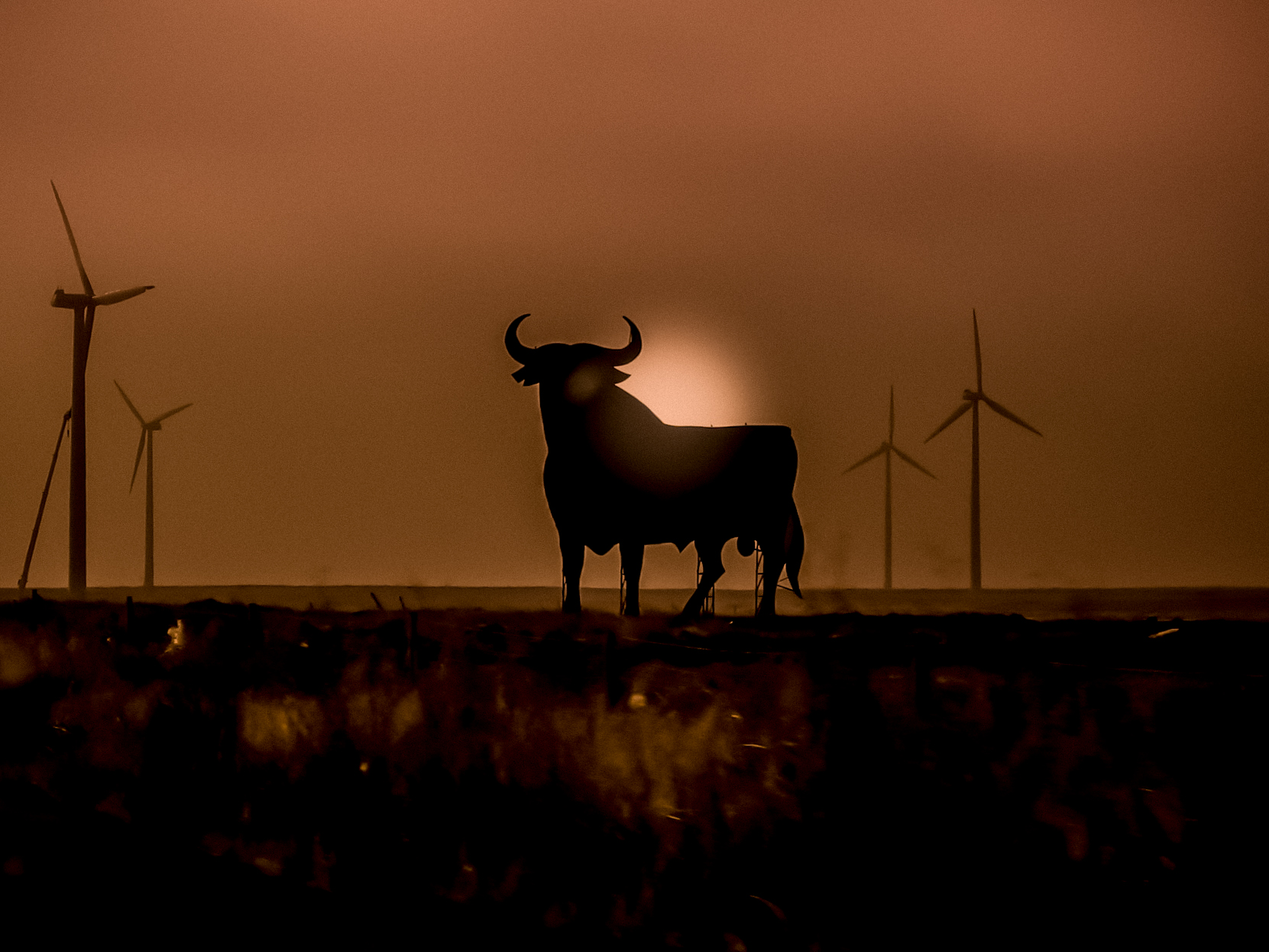 You can purchase a print of this photograph at Smugmug