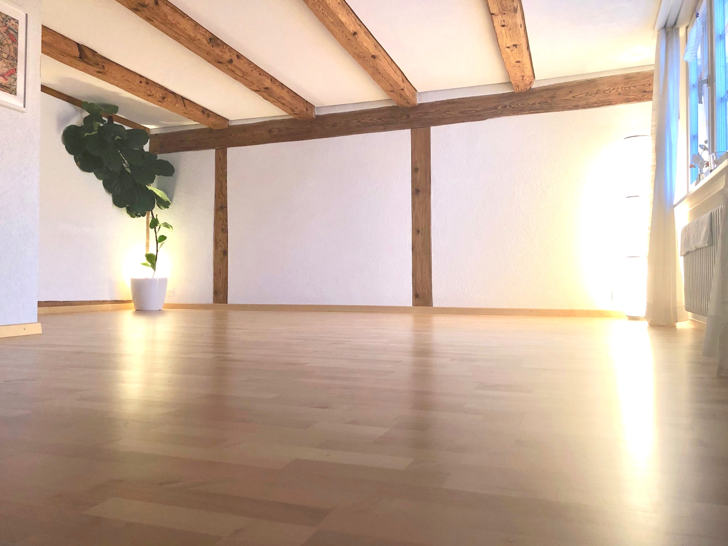 Swissyogini_Studio2.jpg