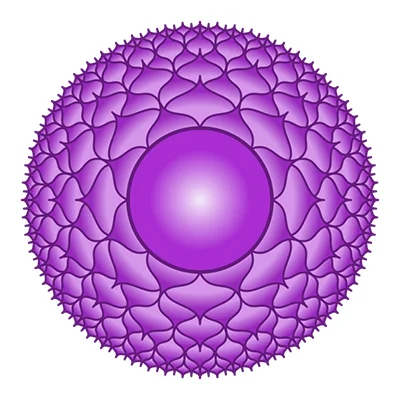 7 Chakra SAHASRARA Violet Haymoz Circle.jpg