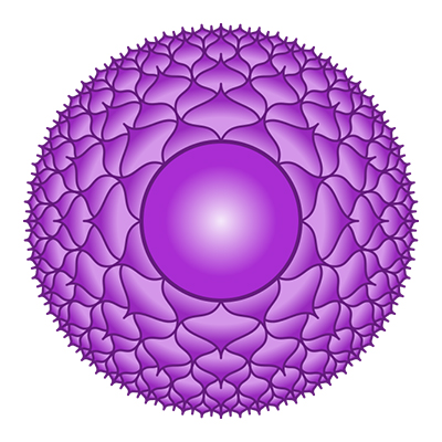 7 Chakra SAHASRARA Violet Haymoz Circle.jpg