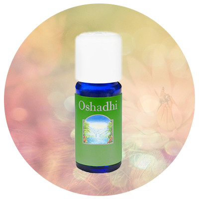 Oshadhi_Synergie_Swissyogini.png