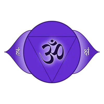 6 Chakra AJNA indigo Haymoz Circle.jpg