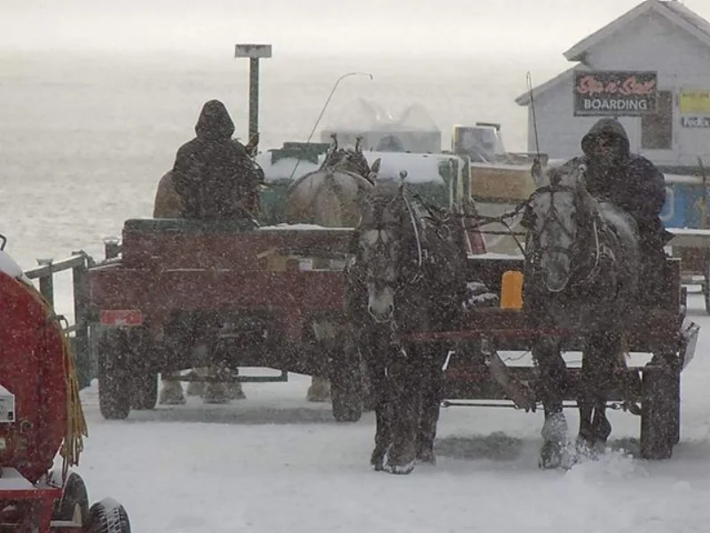 two drays in winter.jpg