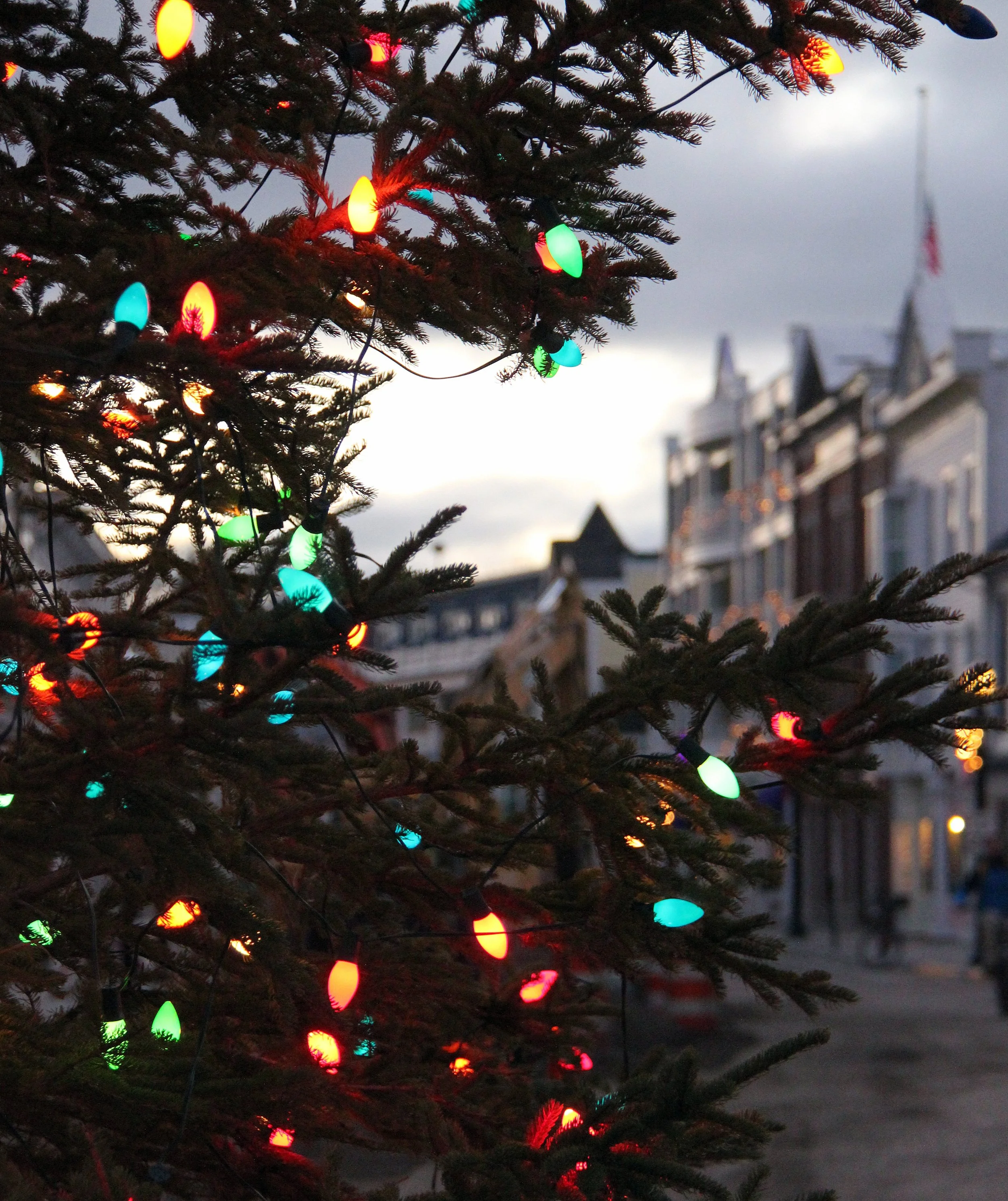 Send Comfort and Joy with Joann's Fudge for Christmas! — Joann's Fudge