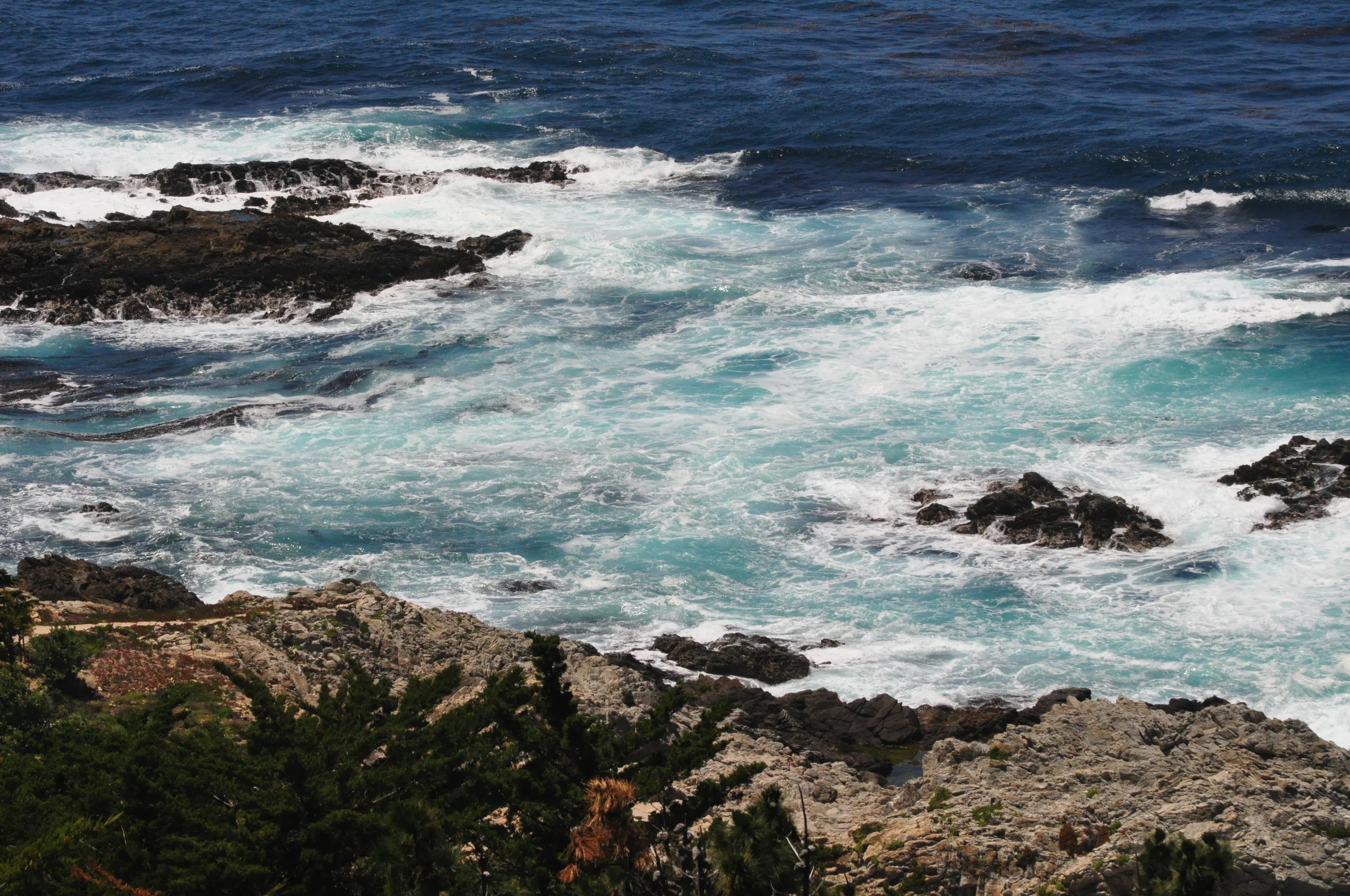 DSC_4044.JPG