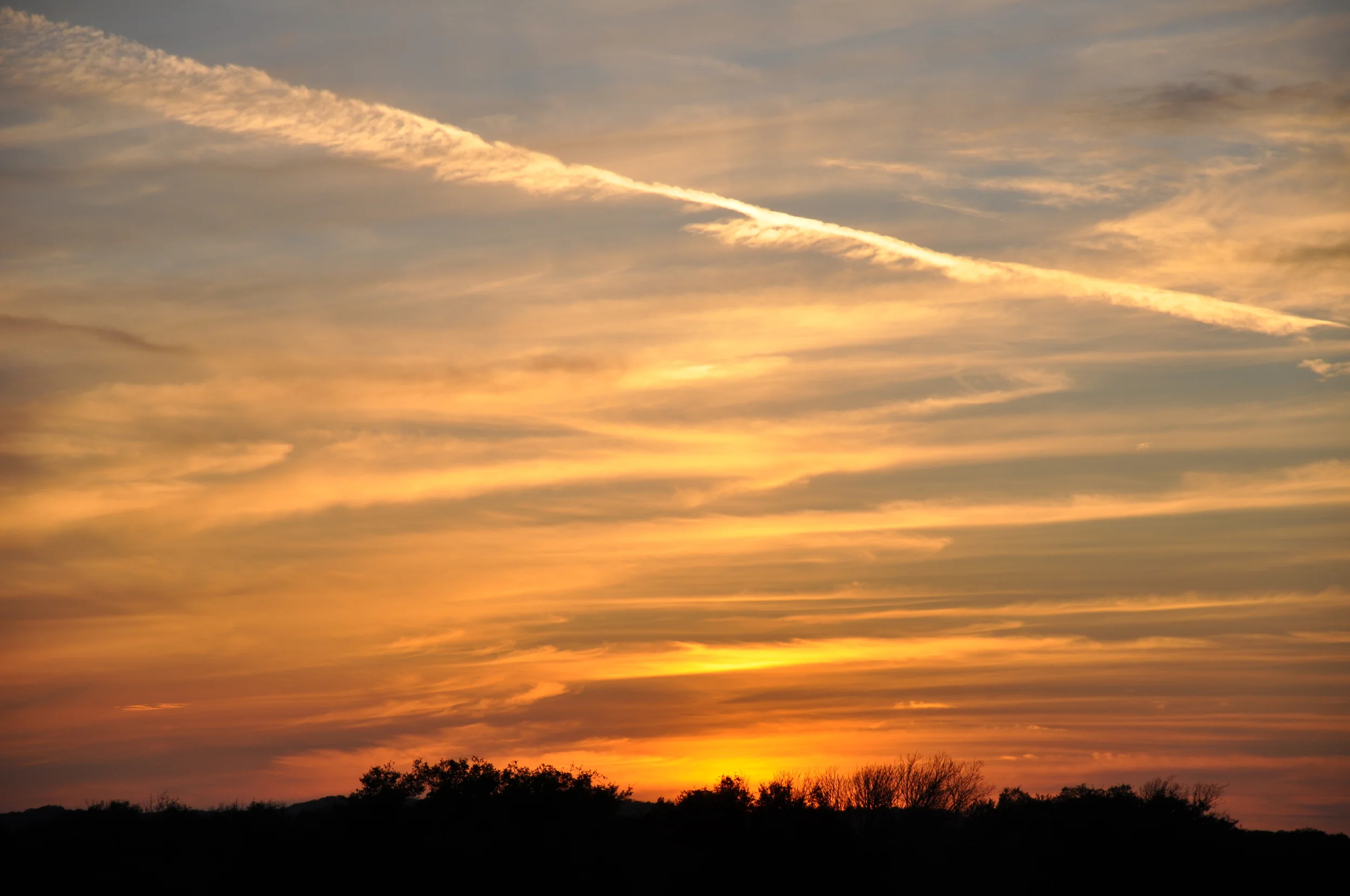 DSC_1402.JPG