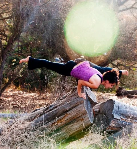 Kundinyasana On Log.jpg