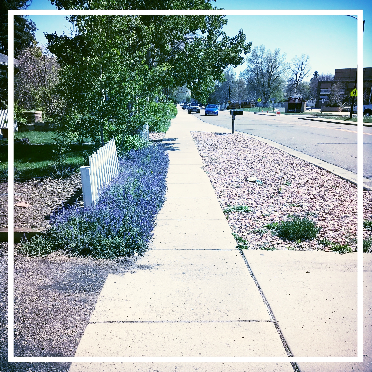 What you see when you're on foot in life, aka moving slower...