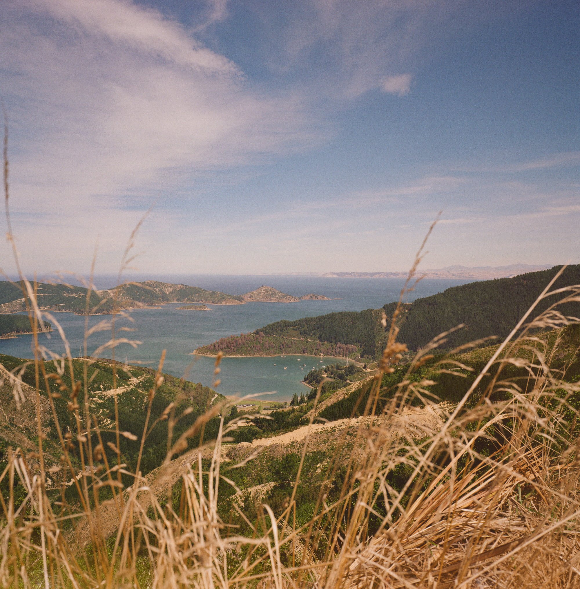 kodak_gold200-21.jpg
