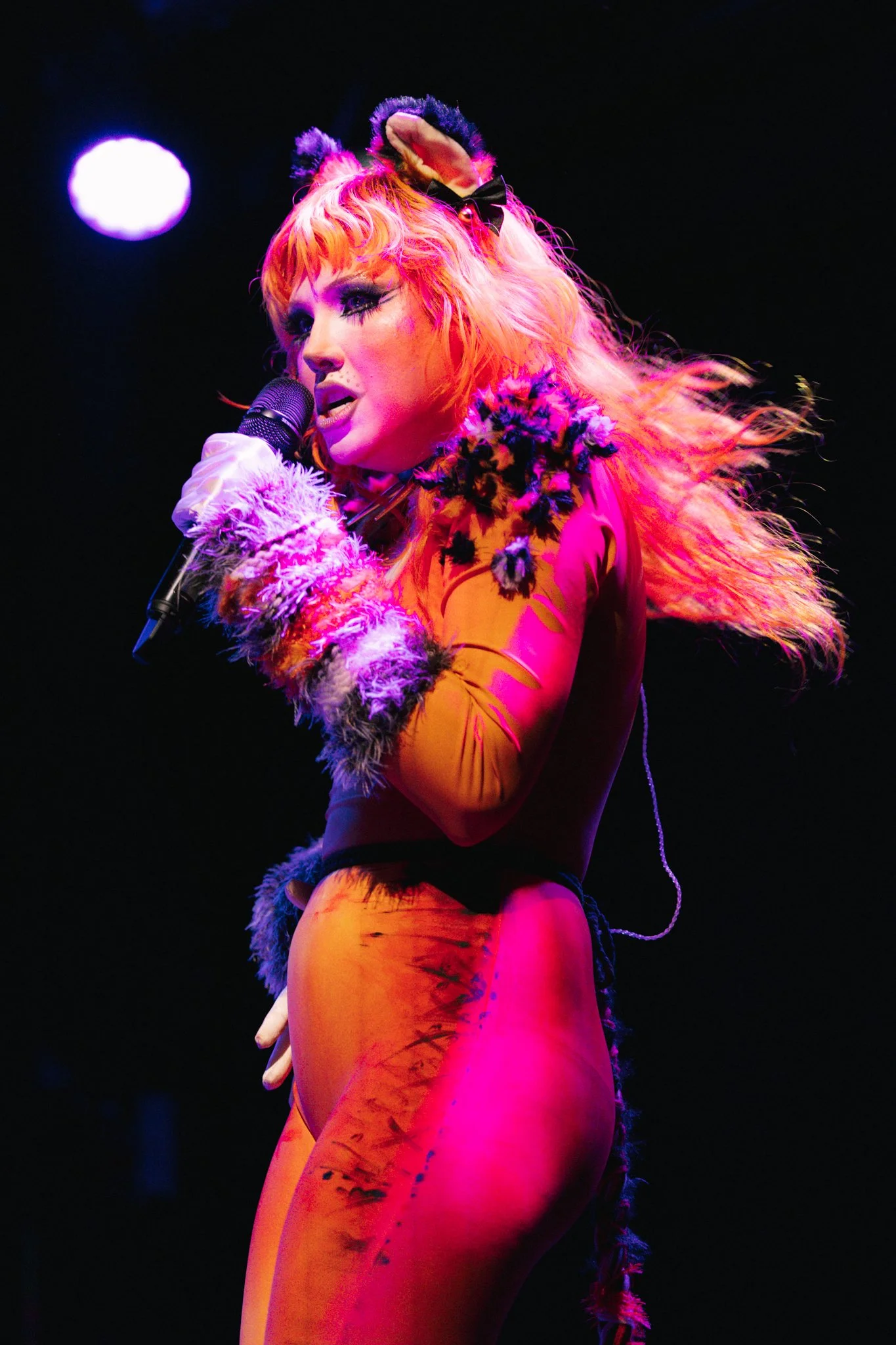 haute & freddy-091.jpg