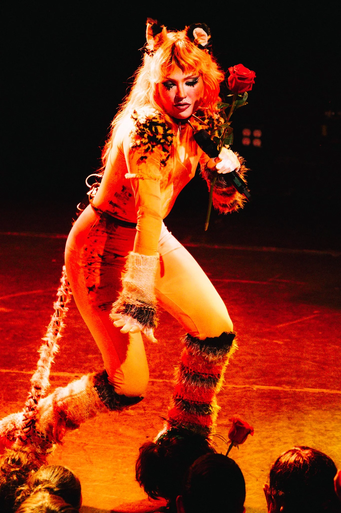 haute & freddy-060.jpg