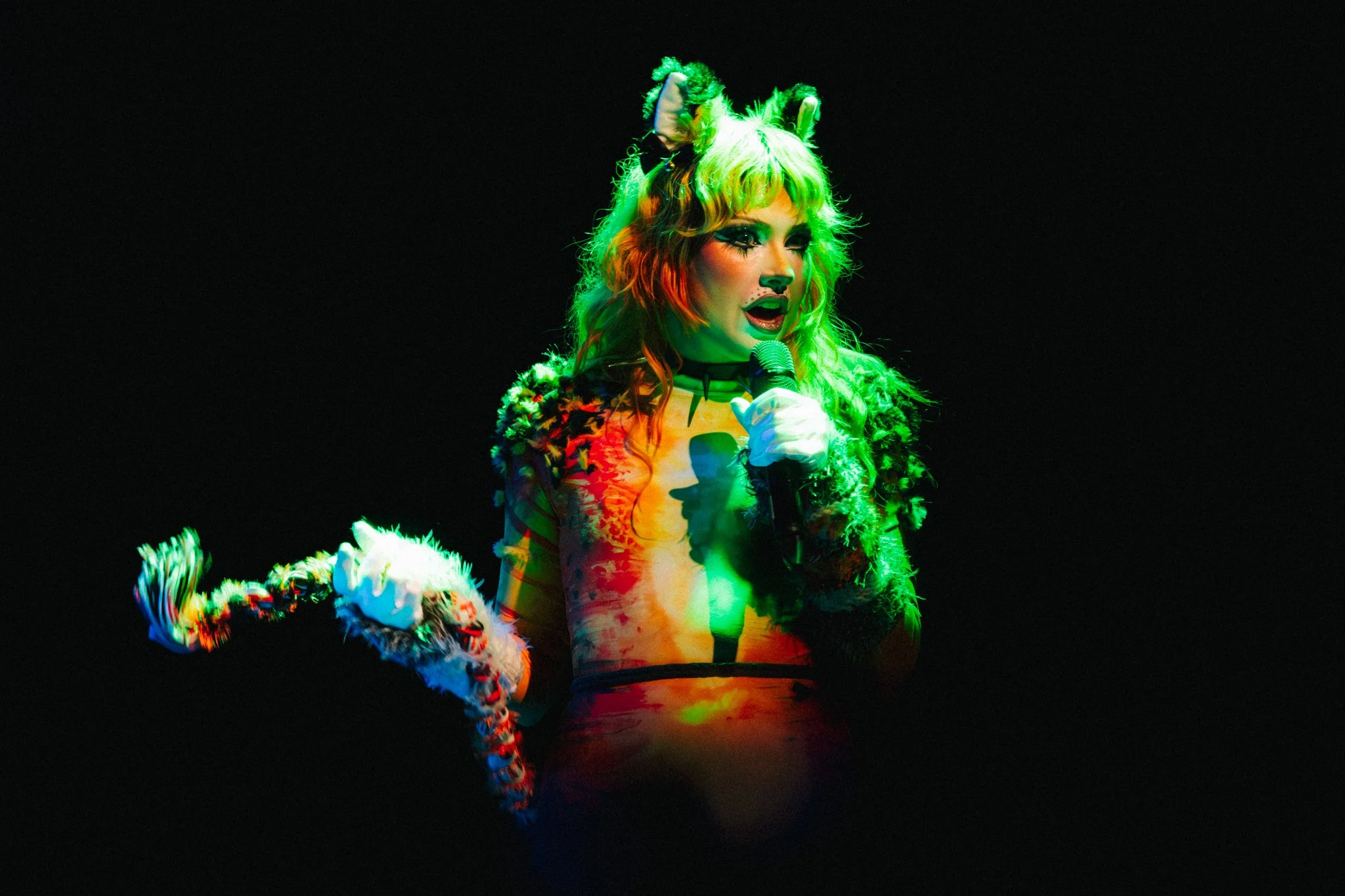 haute & freddy-034.jpg