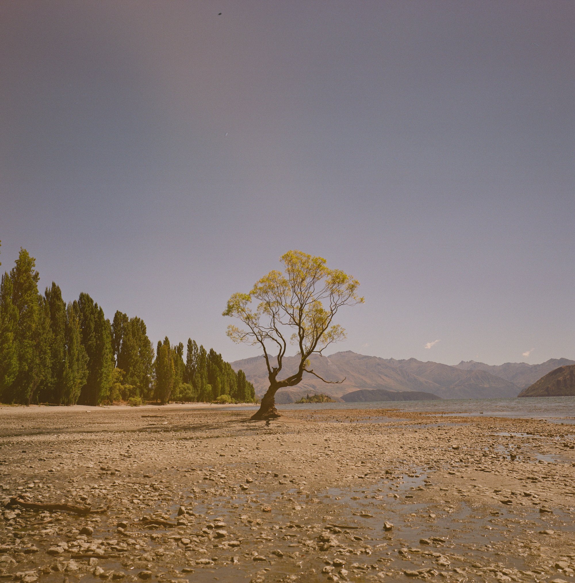 kodak_gold200-13.jpg